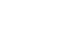 Digital Cultures